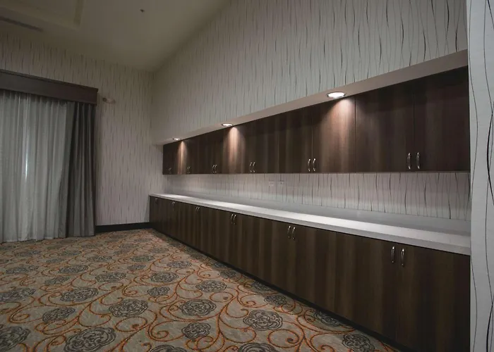 Hilton Garden I-55 Hotel Bolingbrook