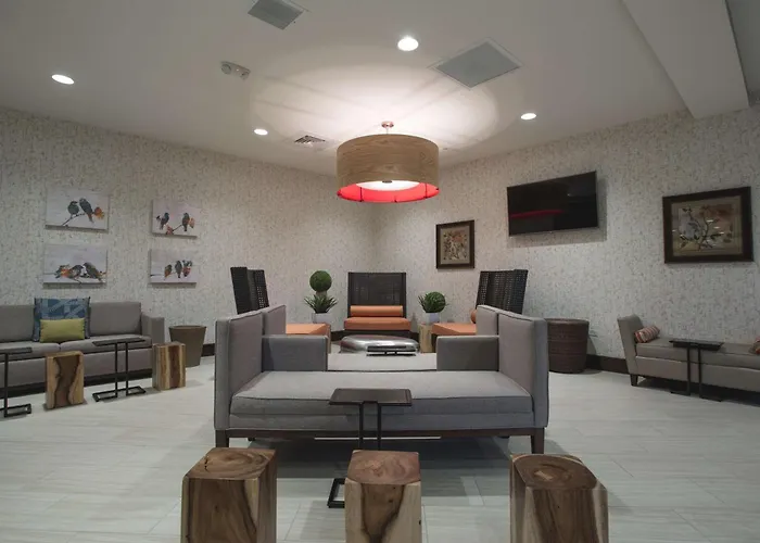 Hilton Garden I-55 Hotel