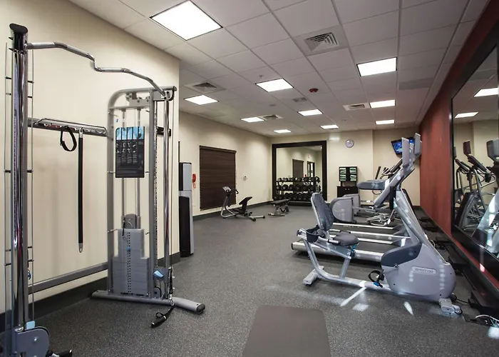 Hilton Garden I-55 Hotel