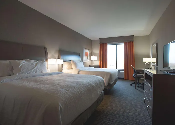 Hilton Garden I-55 Hotel 3*