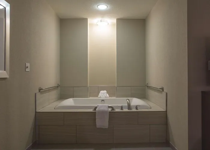 Hilton Garden I-55 Hotel Bolingbrook