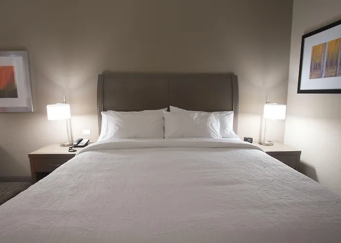 Hilton Garden I-55 Hotel 3*