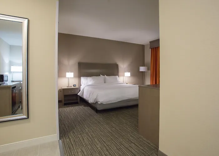 Hilton Garden I-55 Hotel