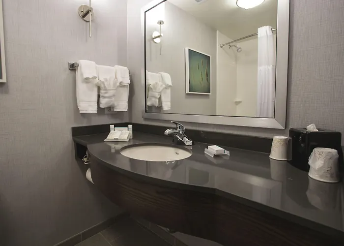 Hilton Garden I-55 Hotel
