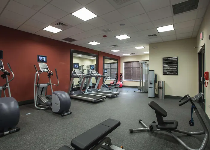 Hilton Garden I-55 Hotel 3*