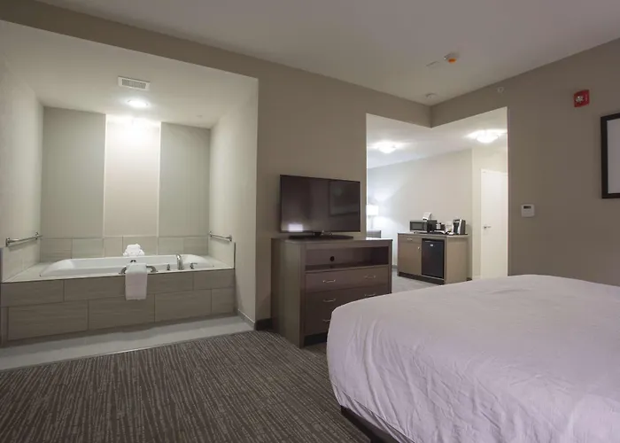Hilton Garden I-55 Hotel 3*