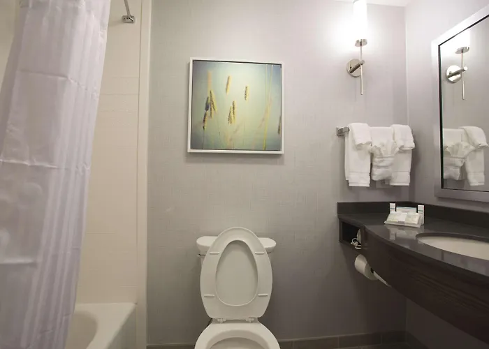 Hilton Garden I-55 Hotel 3*