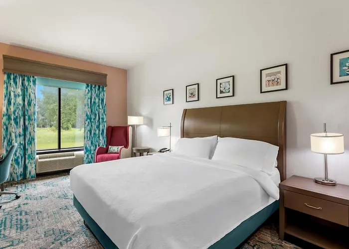 Hilton Garden I-55 Bolingbrook