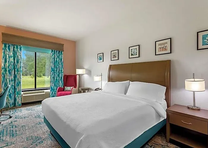 Hilton Garden I-55 Hotel 3*
